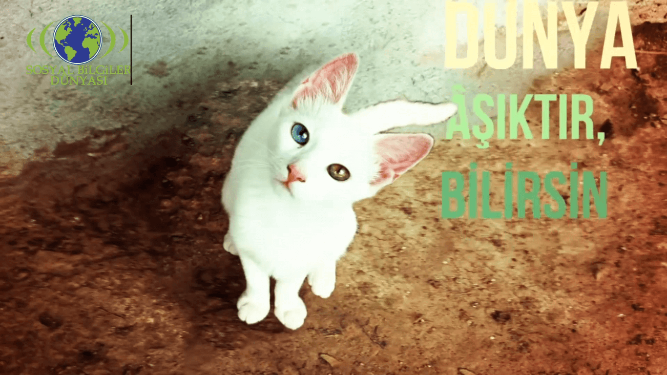 Neden Sosyal Bilgiler Dersini Öğreniyoruz…
